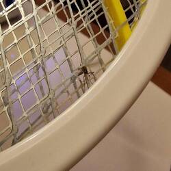 Klar, wenn das Sumpfgebiet quasi um die Ecke ist. 🥴