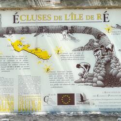 natürlicher Austernanbau