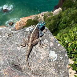 Wieder unser alter Freund