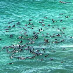 Das Meer ist garnicht mal so warm wie es einem die Einheimischen weis machen
