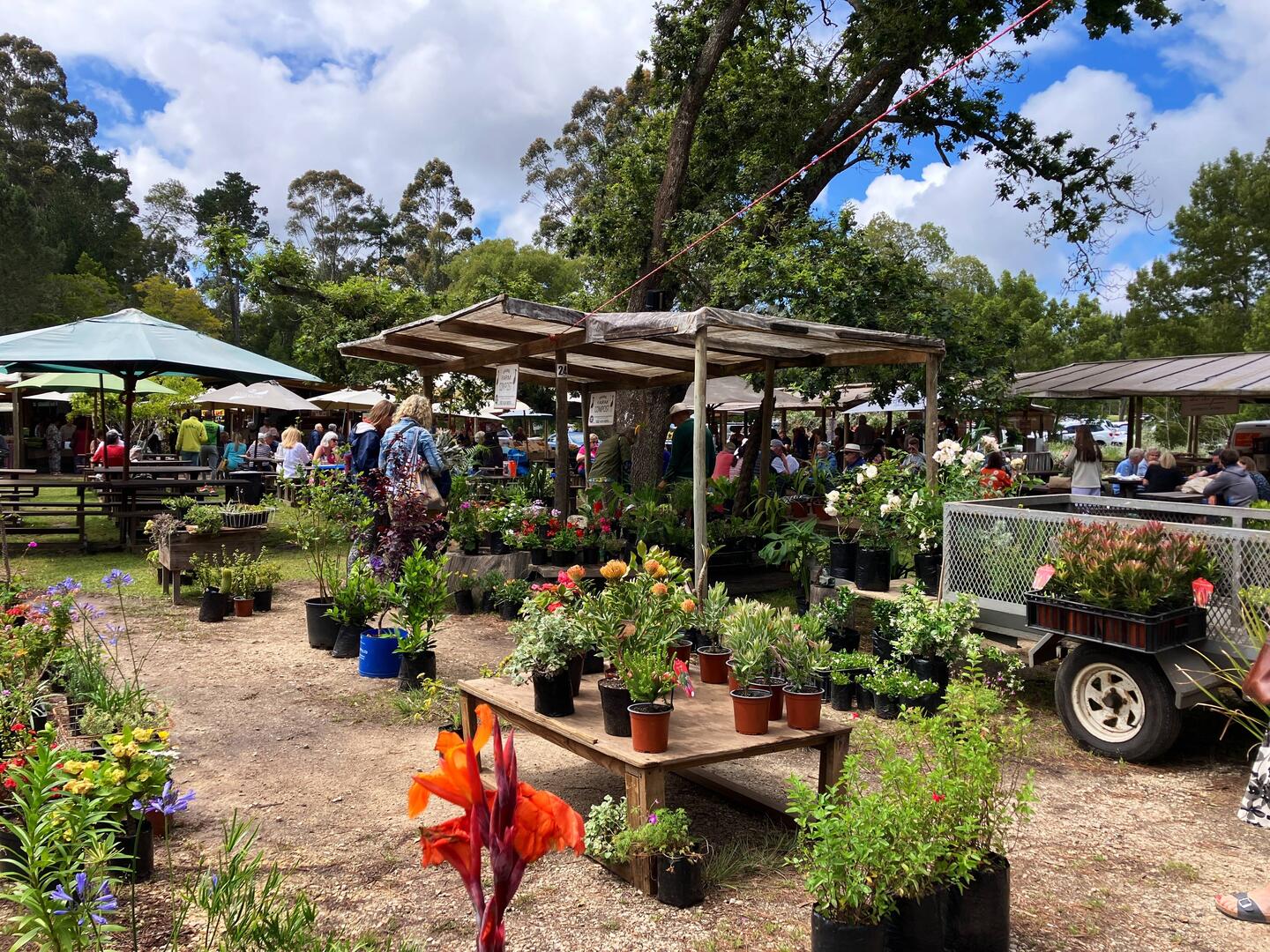 Markttag in Plettenberg Bay