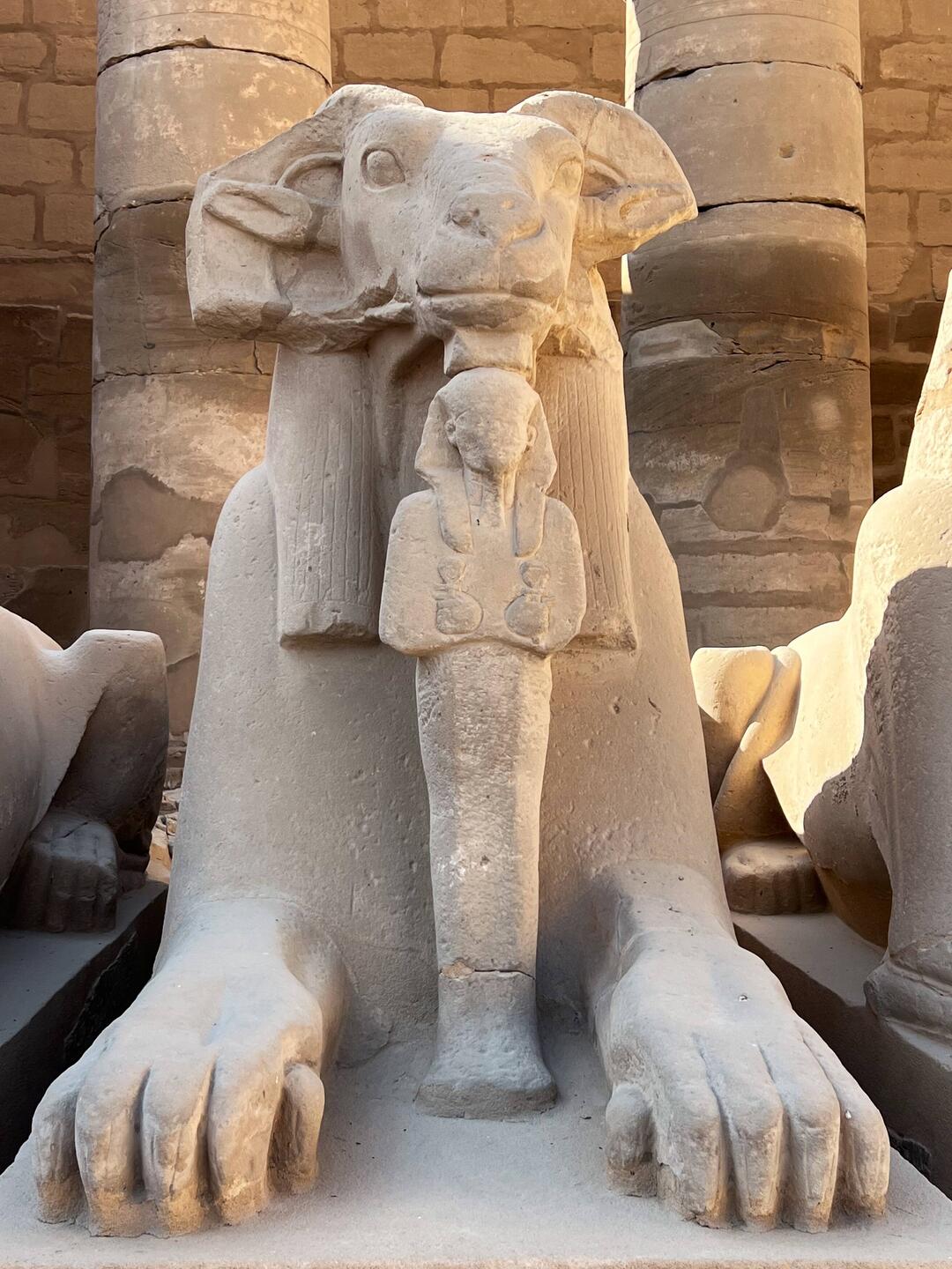 Khomen the ram Sphinx