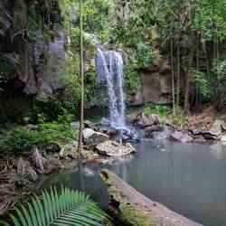 Bis zu den Curtis Falls 😍