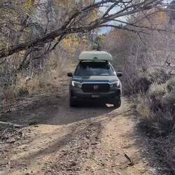 Checking for clearance