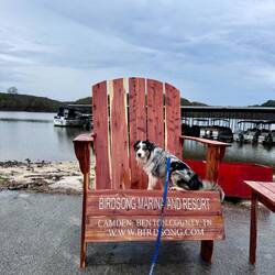 He wasn't thrilled. The seat was wet and it slopes back pretty steep.