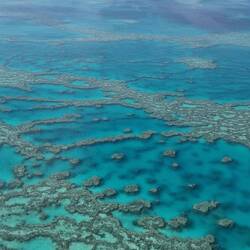 great barrier reef
