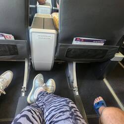Nice legs all 'round 🦵👌