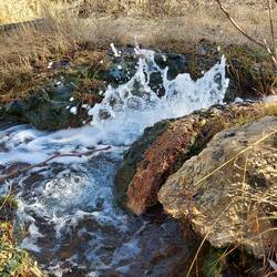 Auch hier ein mini Geysir.