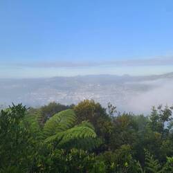 Die Aussicht vom Nahegelegenen Parihaka am Morgen!