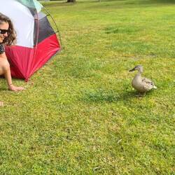 Isabells erste Kontaktversuche mit der ländlichen Bevölkerung. Nak!🦆