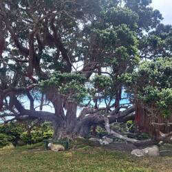 Manche davon waren bereits besetzt! 🐑🐑