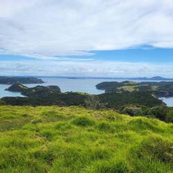 Blick auf Bay of Islands