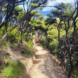 Wunderschöne Wanderwege führten über die Insel