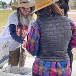 Giving out canvass packets