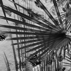 .....impressing light and shadow plays.....