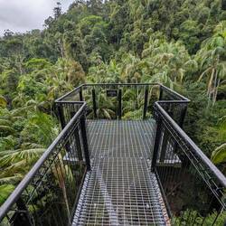 Aussicht über den Regenwald