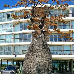 Encounters with unknown (at least to me!) forms of life...