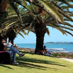 Shade under the palms.