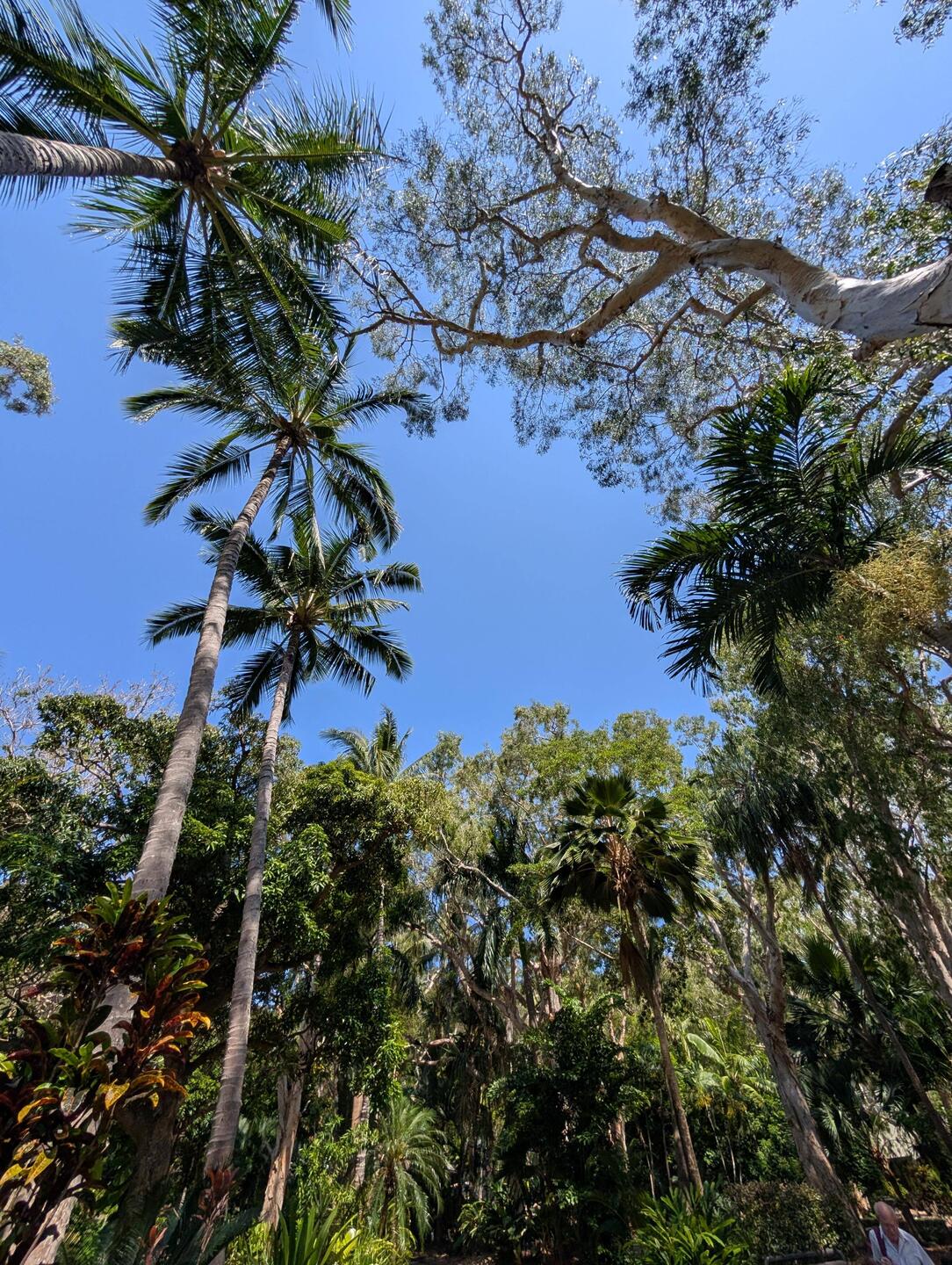 Beautiful blue skies