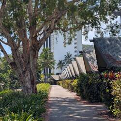 Palm Bungalows