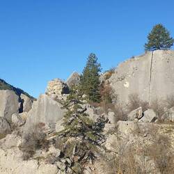 Hinten von der Spitze starten Paragleiter