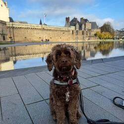 She's just so dang cute