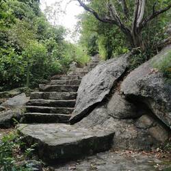 Treppen nach oben auf den Felsen