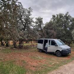 Ruhige Nacht umgeben von Steineichen