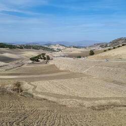 Karge Hügellandschaften mit Olivenplantagen und trockenen Ackerfeldern, kurz vor Fès.