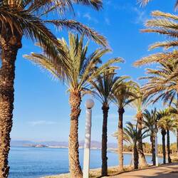 Was für ein schöner Weg!