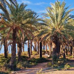 Ein toller gepflegter Picknickplatz!
