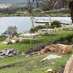 Vineyard Picknickwiese