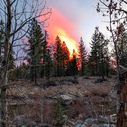 View from the tent this morning