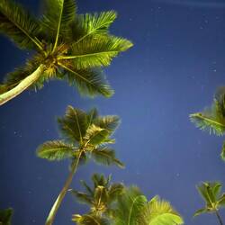 Klarer Sternenhimmel in Punta Cana