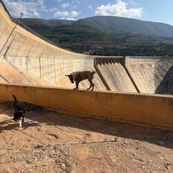 Dahinter ging es richtig abwärts.
