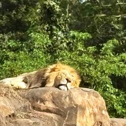 Too hot for this fella!