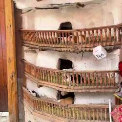 *era il piatto della casa