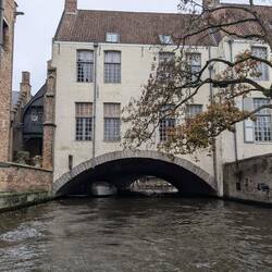 Feels like a studio Ghibli movie