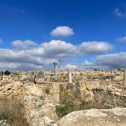 La cité de Volubilis
