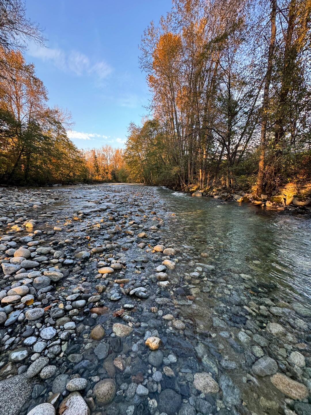 Lynn Valley