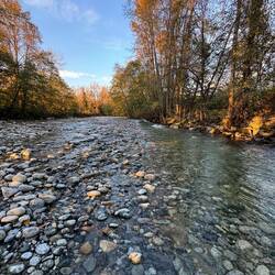 Lynn Valley