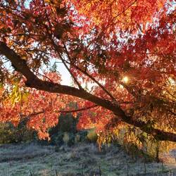 Fall sunset at the Abbey