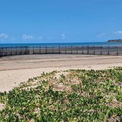 das badeschutznetz bei ebbe