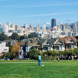 alamo square park