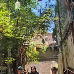 Kwai chai hong street (popular Instagram spot)