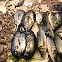 Faro fish market
