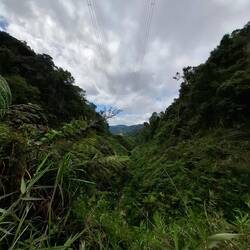 Da müssen wir irgendwo lang