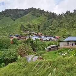 Erste fette View auf die Teefelder