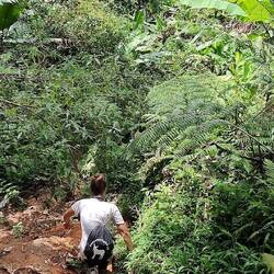 Rein geht's in den Busch