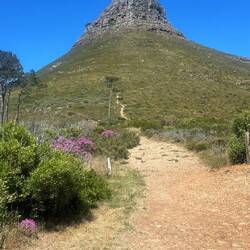 Aufstieg Lion's Head